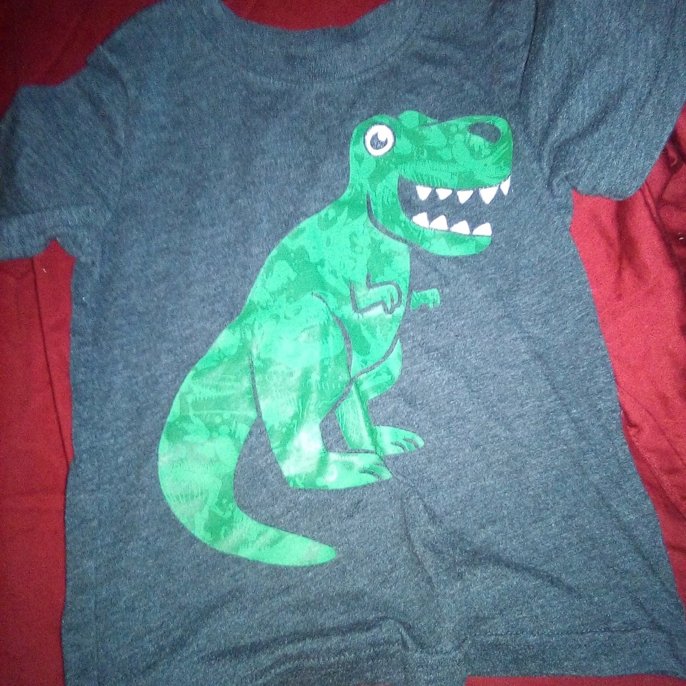 Dinosaur Shirt